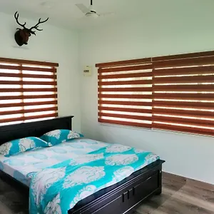 apt-noahs-nest-tree-house.kerala-hotels.net/